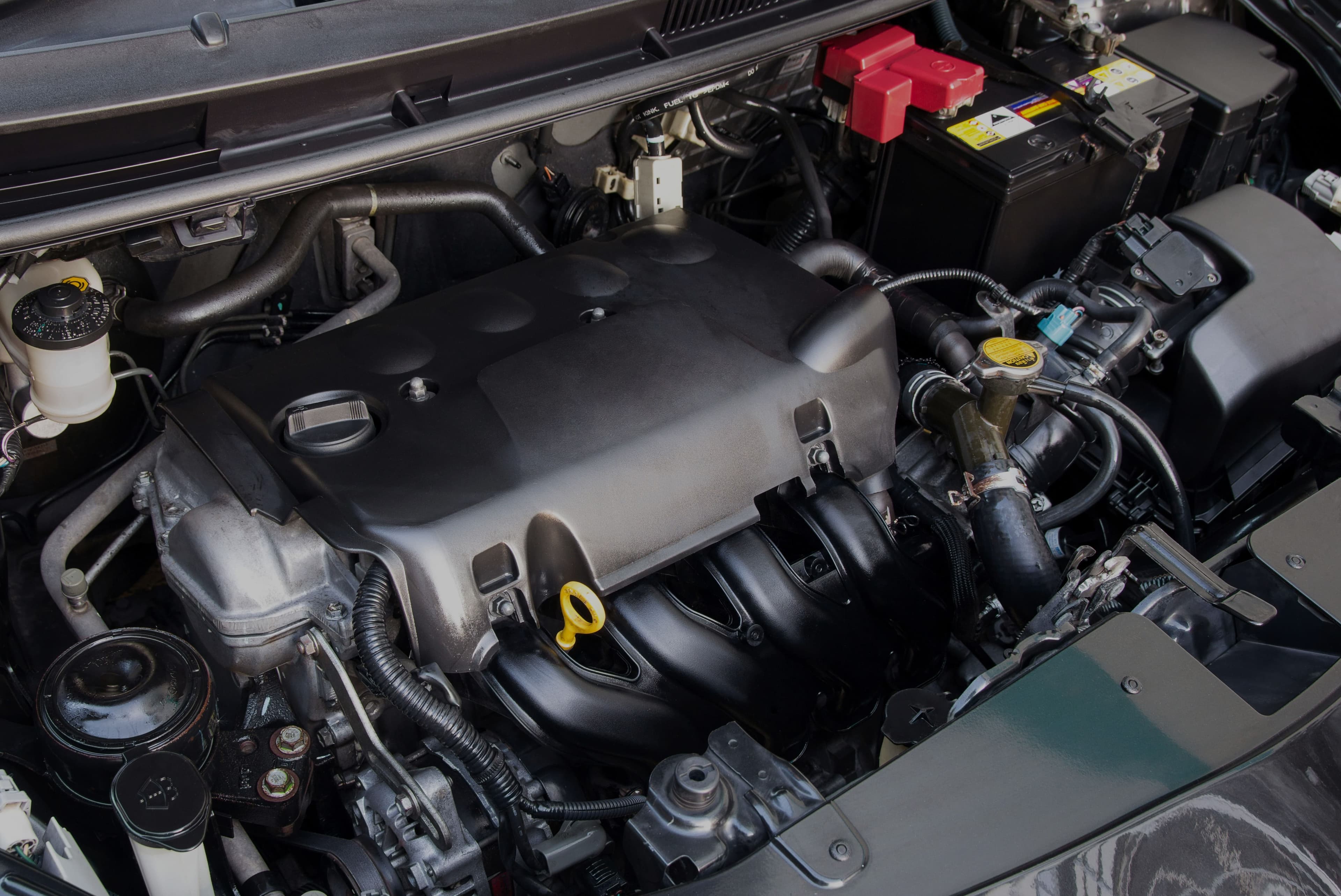 Motor